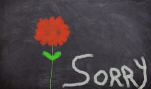 Sumber foto: Pixabay.com Sumber foto: Pixabay.com