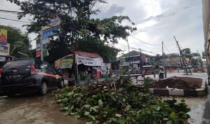 hujan-disertai-angin-kencang-terjadi-di-kabupaten-bogor-hingga-dahan-dahan-pohon-di-sekitar-tumbang-mengenai-salah-satu-mobil- Sumber foto: Rizky AM/detikcom via detik.com