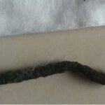 paku yg ditarik pak ajie