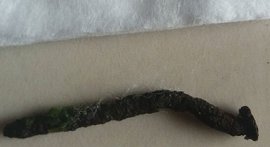 paku yg ditarik pak ajie