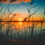 Pexels/Nicole Avagliano) via idntimes.com