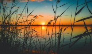 Pexels/Nicole Avagliano) via idntimes.com Pexels/Nicole Avagliano) via idntimes.com