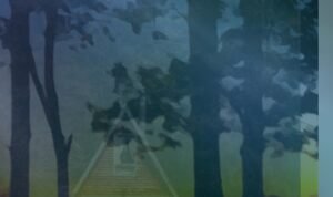 Screenshot_2022-05-17-08-06-54-92_c0d35d5c8ea536686f7fb1c9f2f8f274