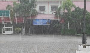 WhatsApp Image 2022-05-19 at 18.35.58