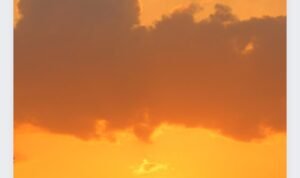 Screenshot_2022-07-20-09-28-27-19_c0d35d5c8ea536686f7fb1c9f2f8f274