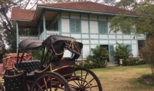 WhatsApp Image 2022-07-12 at 7.00.21 AM