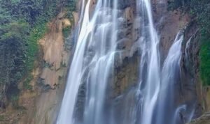 images - 2022-07-18T082646.530