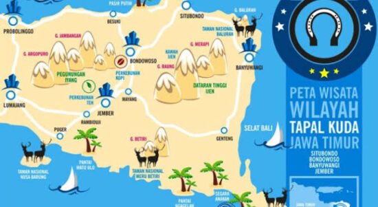 images - 2022-07-26T101240.611