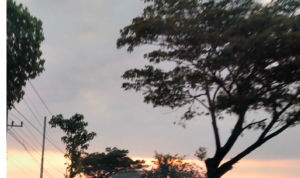 png_20220719_020205_0000