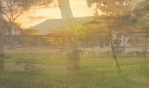 png_20220728_085649_0000