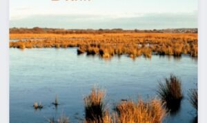 Screenshot_2022-08-24-10-09-51-81_c0d35d5c8ea536686f7fb1c9f2f8f274