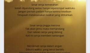 Screenshot_2022-08-28-23-13-26-98_c0d35d5c8ea536686f7fb1c9f2f8f274