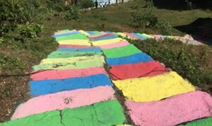 WhatsApp Image 2022-07-30 at 7.39.48 AM (2)