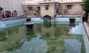 WhatsApp Image 2022-08-03 at 10.40.32 AM (1)