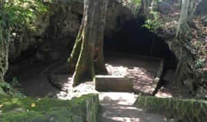 WhatsApp Image 2022-08-07 at 8.56.01 AM