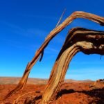 desert-85455_960_720