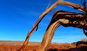 desert-85455_960_720