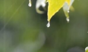 Screenshot_2022-10-29-04-58-25-10_a23b203fd3aafc6dcb84e438dda678b6