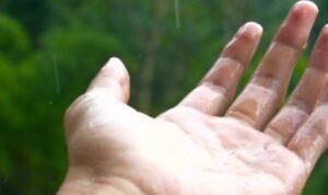 Screenshot_2022-11-03-14-17-30-30_c0d35d5c8ea536686f7fb1c9f2f8f274