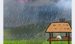 Screenshot_2022-11-19-07-22-16-80_c0d35d5c8ea536686f7fb1c9f2f8f274