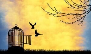 freedom-to-FLY-500x288