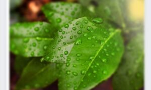 Screenshot_2022-12-29-19-15-49-78_99c04817c0de5652397fc8b56c3b3817