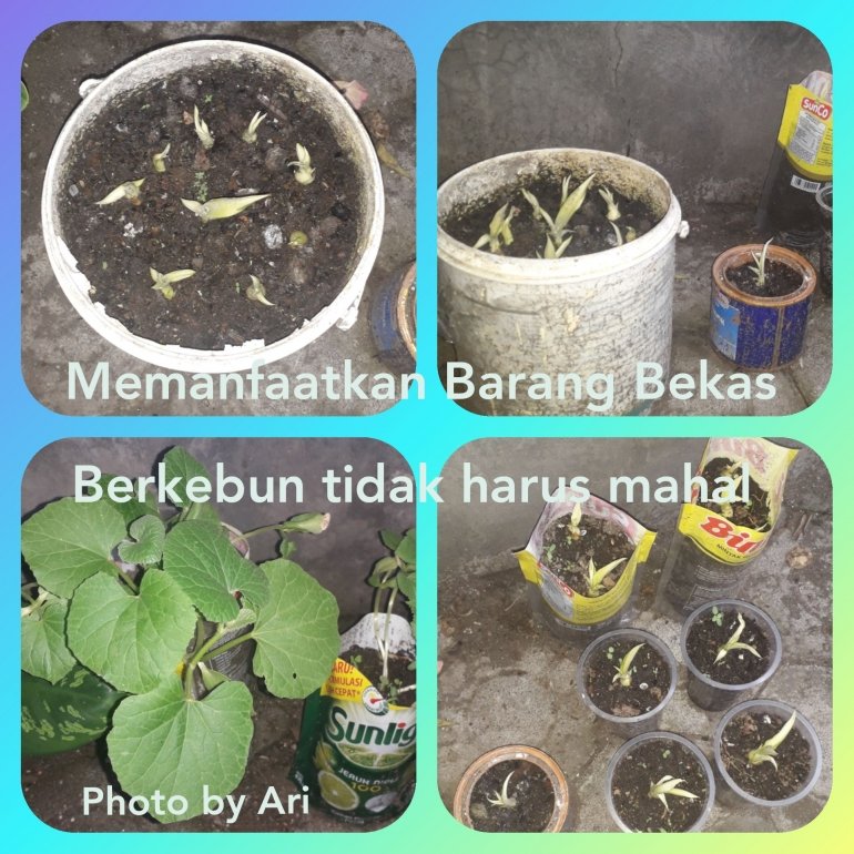 dokumen pribadi
