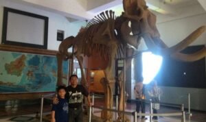 Museum Geologi Bandung