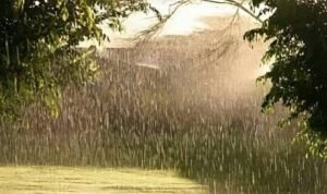 images - 2023-05-02T152422.772