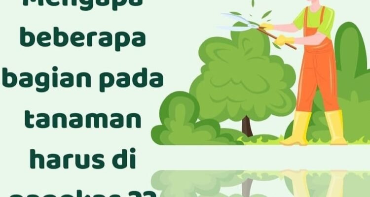 IMG-20230710-WA0067_1