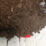 Kompos limbah sayur dari dapur Foto Dokumen Pribadi