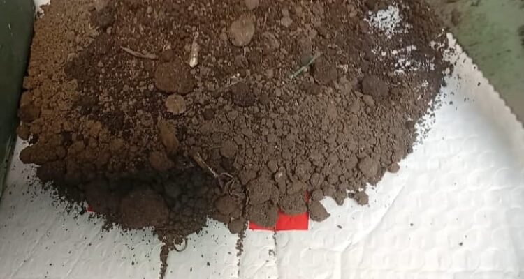 Kompos limbah sayur dari dapur Foto Dokumen Pribadi Kompos limbah sayur dari dapur Foto Dokumen Pribadi