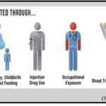 cara-cara penularan HIV Ilustrasi – Cara-cara penularan HIV/AIDS. (Sumber: vawnet.org)