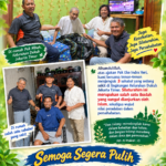 pulih