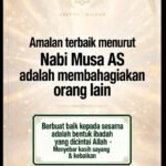 nabimusaAS